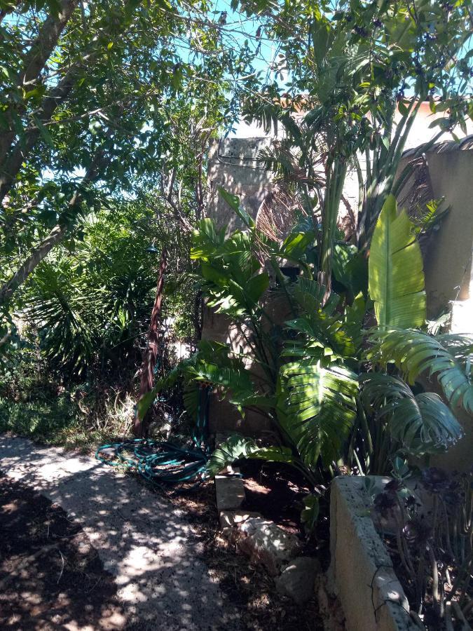 Arthouse Mit Haus Galeria 110qm Und Appartementhaus Mit Patio 30qm Campos (Mallorca)